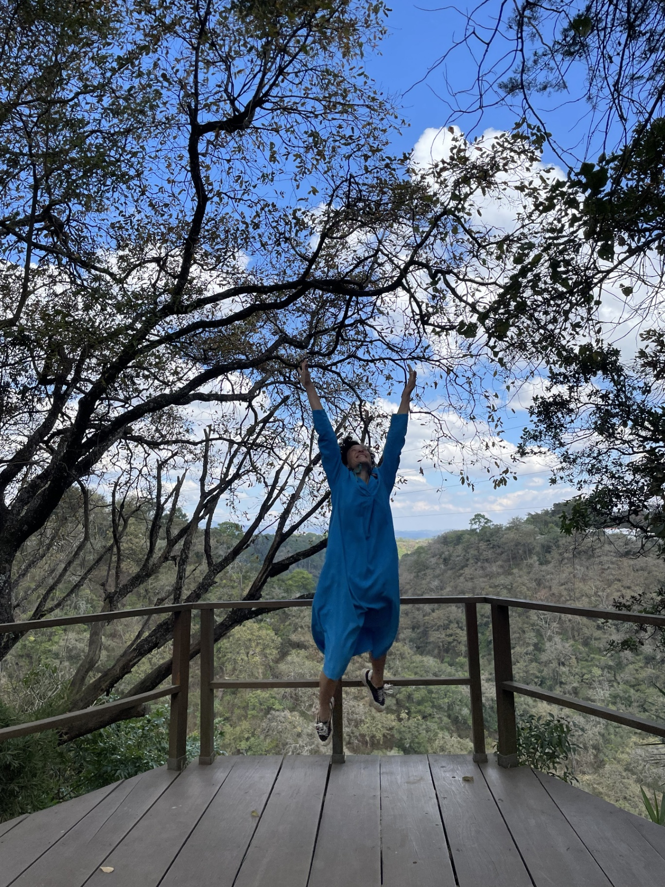 Jeanne reaching into the canopy above the Guatemalan highlands